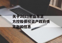 关于2023年山东正方控股债权资产政府债定融的信息