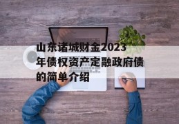 山东诸城财金2023年债权资产定融政府债的简单介绍