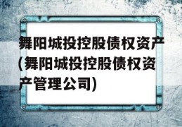 舞阳城投控股债权资产(舞阳城投控股债权资产管理公司)