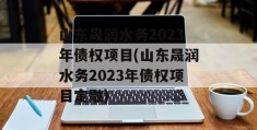 山东晟润水务2023年债权项目(山东晟润水务2023年债权项目定融)