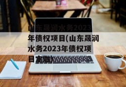 山东晟润水务2023年债权项目(山东晟润水务2023年债权项目定融)