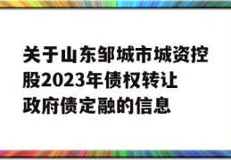 关于山东邹城市城资控股2023年债权转让政府债定融的信息