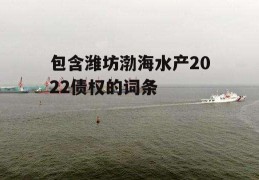 包含潍坊渤海水产2022债权的词条