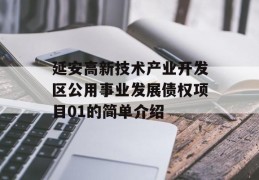 延安高新技术产业开发区公用事业发展债权项目01的简单介绍