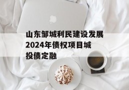 山东邹城利民建设发展2024年债权项目城投债定融