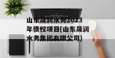 山东晟润水务2023年债权项目(山东晟润水务集团有限公司)