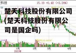 楚天科技股份有限公司(楚天科技股份有限公司是国企吗)