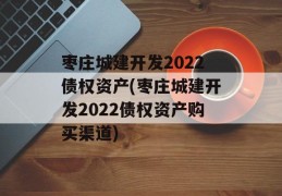 枣庄城建开发2022债权资产(枣庄城建开发2022债权资产购买渠道)