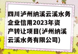 四川泸州纳溪云溪水务企业信用2023年资产转让项目(泸州纳溪云溪水务有限公司)