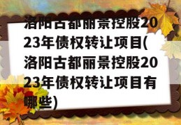 洛阳古都丽景控股2023年债权转让项目(洛阳古都丽景控股2023年债权转让项目有哪些)