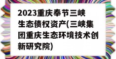 2023重庆奉节三峡生态债权资产(三峡集团重庆生态环境技术创新研究院)