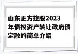 山东正方控股2023年债权资产转让政府债定融的简单介绍