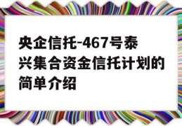 央企信托-467号泰兴集合资金信托计划的简单介绍