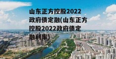 山东正方控股2022政府债定融(山东正方控股2022政府债定融利率)