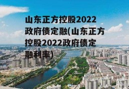 山东正方控股2022政府债定融(山东正方控股2022政府债定融利率)