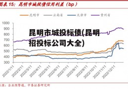 昆明市城投标债(昆明招投标公司大全)