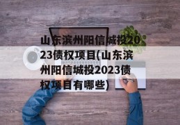 山东滨州阳信城投2023债权项目(山东滨州阳信城投2023债权项目有哪些)