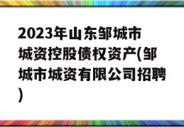 2023年山东邹城市城资控股债权资产(邹城市城资有限公司招聘)