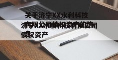 关于济宁XX水利科技有限公司债权资产的信息