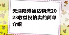 天津陆港通达物流2023收益权拍卖的简单介绍