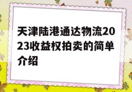 天津陆港通达物流2023收益权拍卖的简单介绍