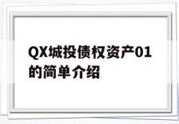 QX城投债权资产01的简单介绍