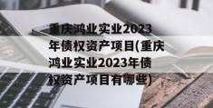 重庆鸿业实业2023年债权资产项目(重庆鸿业实业2023年债权资产项目有哪些)