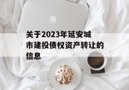 关于2023年延安城市建投债权资产转让的信息