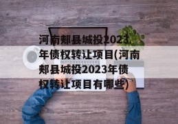 河南郏县城投2023年债权转让项目(河南郏县城投2023年债权转让项目有哪些)