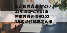 山东博兴鑫达债权2023年收益权项目(山东博兴鑫达债权2023年收益权项目怎么样)