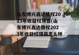 山东博兴鑫达债权2023年收益权项目(山东博兴鑫达债权2023年收益权项目怎么样)