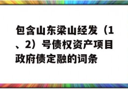 包含山东梁山经发（1、2）号债权资产项目政府债定融的词条