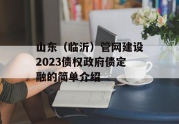 山东（临沂）管网建设2023债权政府债定融的简单介绍