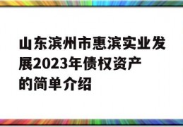 山东滨州市惠滨实业发展2023年债权资产的简单介绍