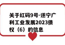 关于红码9号-遂宁广利工业发展2023债权（6）的信息