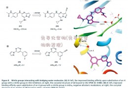 先导化合物(先导化合物的发现)