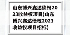 山东博兴鑫达债权2023收益权项目(山东博兴鑫达债权2023收益权项目招标)