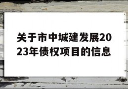 关于市中城建发展2023年债权项目的信息