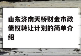 山东济南天桥财金市政债权转让计划的简单介绍