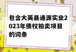 包含大英县通源实业2023年债权拍卖项目的词条