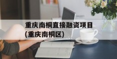 重庆南桐直接融资项目(重庆南桐区)