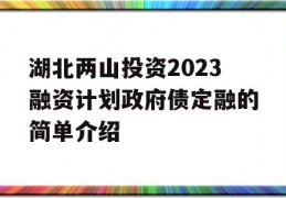 湖北两山投资2023融资计划政府债定融的简单介绍