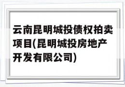 云南昆明城投债权拍卖项目(昆明城投房地产开发有限公司)