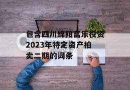 包含四川绵阳富乐投资2023年特定资产拍卖二期的词条