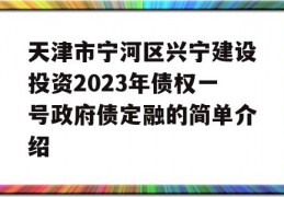 天津市宁河区兴宁建设投资2023年债权一号政府债定融的简单介绍