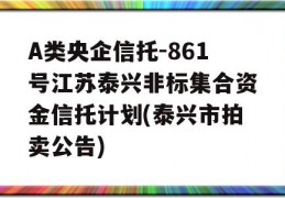 A类央企信托-861号江苏泰兴非标集合资金信托计划(泰兴市拍卖公告)