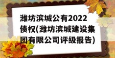 潍坊滨城公有2022债权(潍坊滨城建设集团有限公司评级报告)