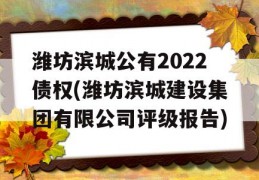 潍坊滨城公有2022债权(潍坊滨城建设集团有限公司评级报告)