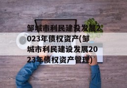 邹城市利民建设发展2023年债权资产(邹城市利民建设发展2023年债权资产管理)