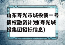 山东寿光市城投债一号债权融资计划(寿光城投集团招标信息)